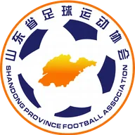 Logo of Shandong U20
