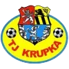 Logo of FK Krupka