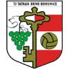 Logo of TJ Tatran Bohunice