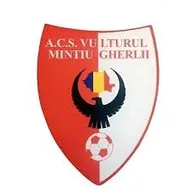 Logo of Vulturul Mintiu Gherlii