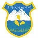 Logo of Qinghai Province Youth Football
