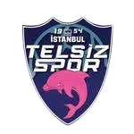 Logo of Telsizspor (W)