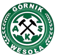 Logo of GornikWesola