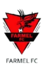 Logo of Farmel FC