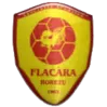 Logo of ACS Flacara Horezu