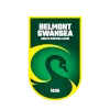 Logo of Belmont Swansea United SC Reserves