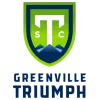 Logo of Greenville Triumph