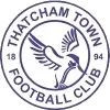 Logo of Thatcham Town