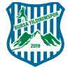 Logo of Bursa Yıldırımspor