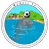 Logo of Manati FC