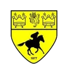 Logo of Newmarket Town