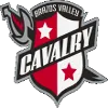 Logo of Brazos Valley Cavalry