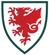 Logo of Wales U19