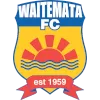 Logo of Waitemata FC