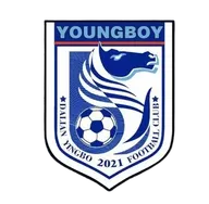 Logo of Dalian Yingbo