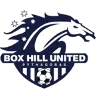 Logo of Box Hill United U20