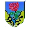 Logo of ASD Seravezza Calcio