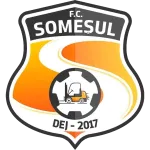 Logo of FC Somesul Dej