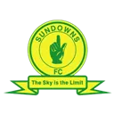 Logo of Mamelodi Sundowns