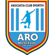 Logo of ARO Muscelul Campulung
