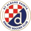 Logo of St. Albans Saints U21