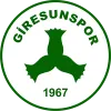 Logo of Giresunspor U19