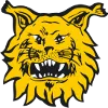 Logo of Ilves/2 (w)