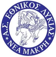 Logo of Ethnikos Neas Makris