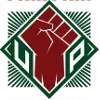 Logo of Fighting Maroons (w)