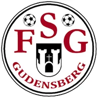 Logo of FSG Gudensberg