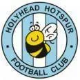 Logo of Holyhead