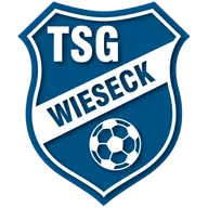 Logo of TSG Wieseck U17