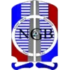 Logo of NGB ASC Niarry Tally