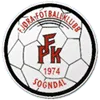 Logo of Fjora