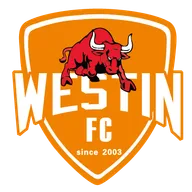 Logo of Foshan Sports (w)