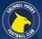 Logo of Solihull Moors (w)