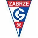 Logo of Gornik Zabrze (Youth)