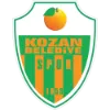 Logo of Kozan Spor FK