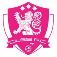 Logo of Cilesi FC