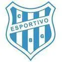 Logo of Esportivo RS