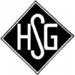 Logo of Holzheimer SG