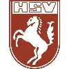 Logo of Hammer SpVg