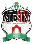 Logo of LKS Slesin