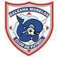 Logo of Ballenas Galeana Morelos