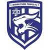 Logo of Wuhan Three Towns U15
