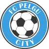 Logo of Pelgu City