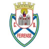 Logo of Feirense U17