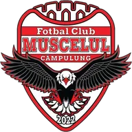 Logo of Muscelul Campulung 2022 U19