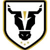 Logo of Bulls Academy