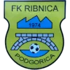 Logo of FK Ribnica